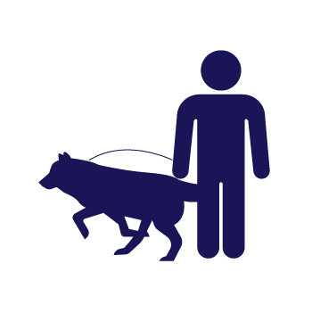 icone Animaux laisse