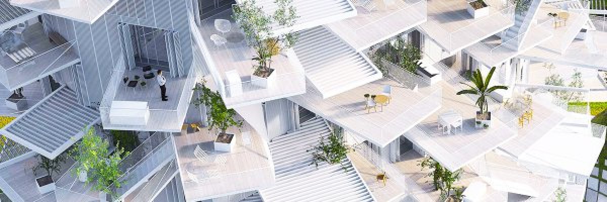 Image de L'ARBRE BLANC