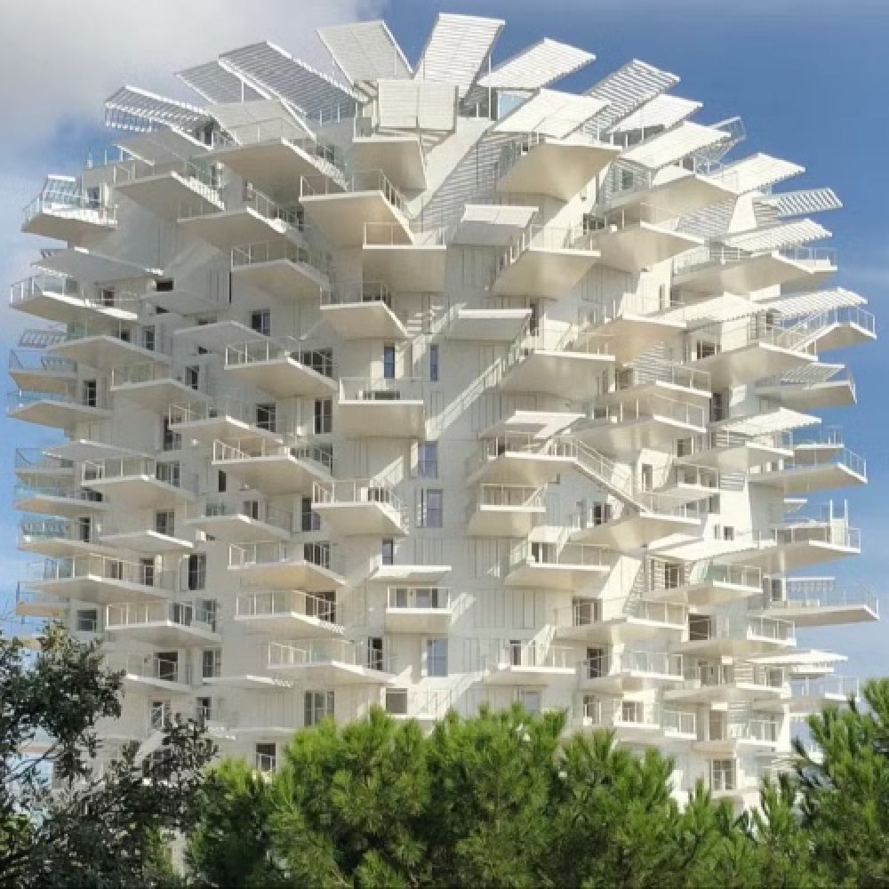 L'ARBRE BLANC
