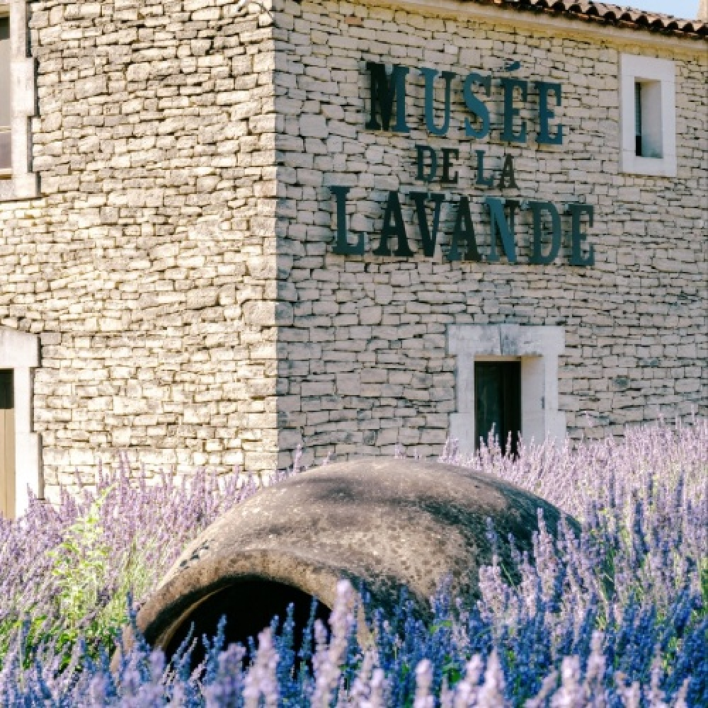 Le parcours passionnant de la Lavande