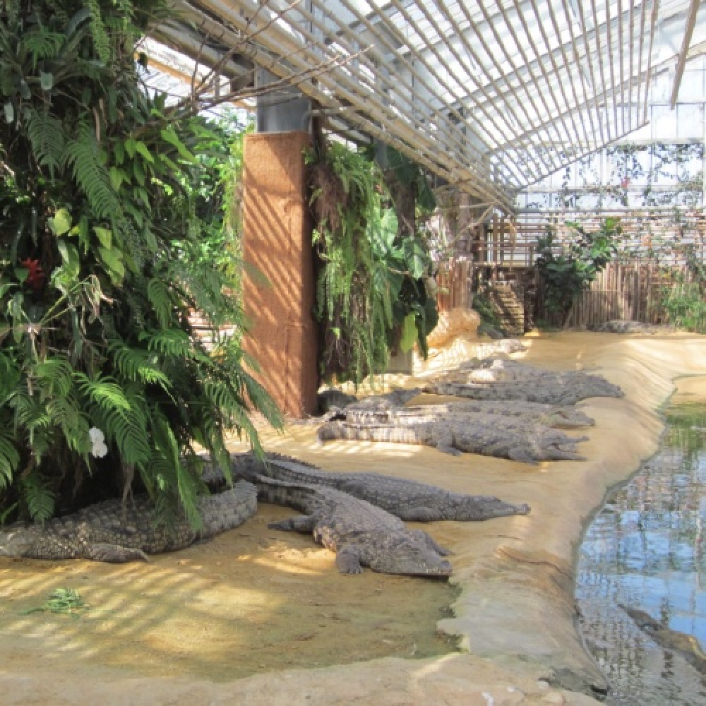 Parc européen dédié aux reptiles