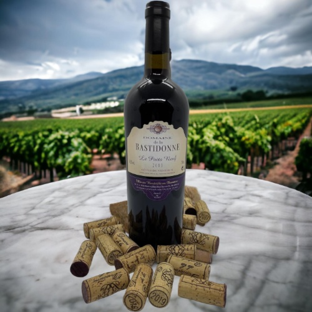 Vignoble depuis 1840
