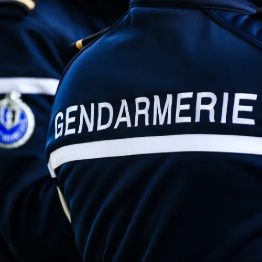 LE 17